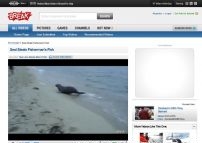 Seal Steals Fisherman's Fish