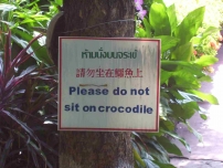 Don't sit on crocodile