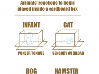 Box vs. animals