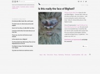 Is this really the face of Bigfoot?
