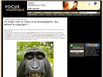 Un singe vole un reflex et se photographie. Qui détient le copyright ?