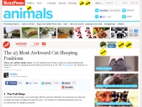 The 25 Most Awkward Cat Sleeping Positions
