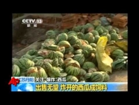 Watermelons Explode Because of Chemical