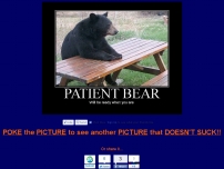 Patient bear