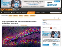 MIT discovers the location of memories