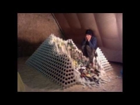 Biggest domino pyramid ever... almost